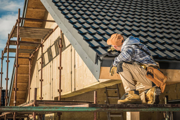 Best Roof Insulation Installation  in Cold Spring, MN