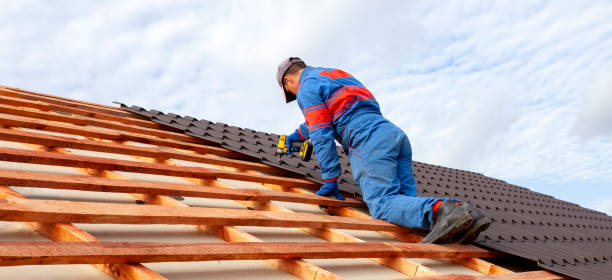 Best Slate Roofing  in Cold Spring, MN